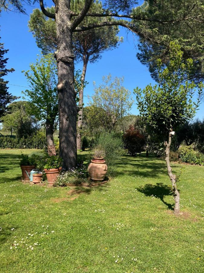 Tenuta Poggio Alla Farnia Fauglia Exterior photo